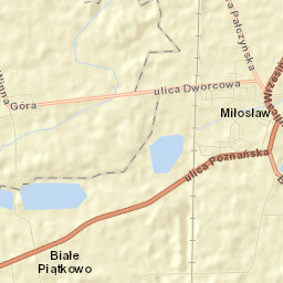 Miłosław Street Map