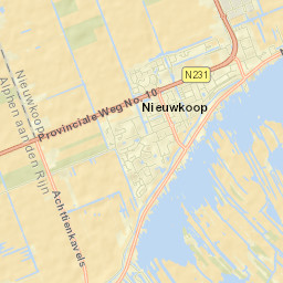 Nieuwkoop Street Map