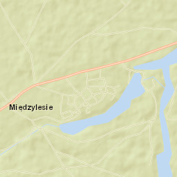 Międzylesie Street Map