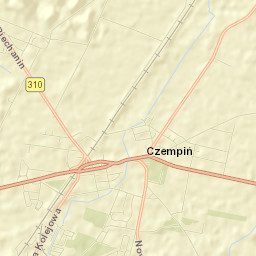 Czempiń Street Map