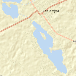 Zaniemyśl Street Map
