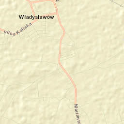Władysławów Street Map