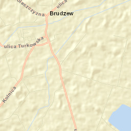 Brudzew Street Map