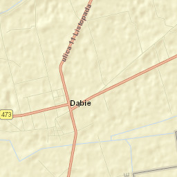 Dąbie Street Map