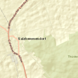 Salzhemmendorf Street Map