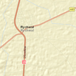 Rychwał Street Map