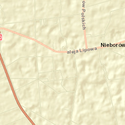 Nieborów Street Map