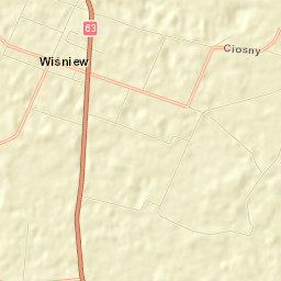 Wiśniew Street Map