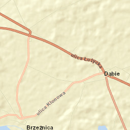 Dąbie Street Map