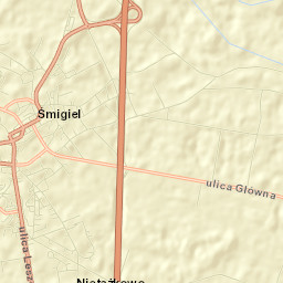 Śmigiel Street Map