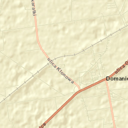 Domaniewice Street Map