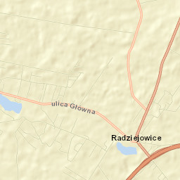 Radziejowice Street Map