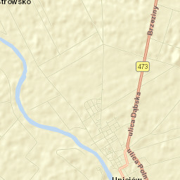 Uniejów Street Map