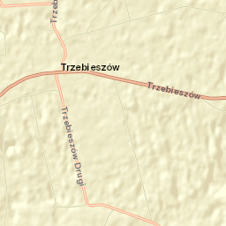 Trzebieszów Street Map
