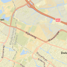 Duiven Street Map