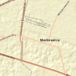 Powiat skierniewicki Street Map