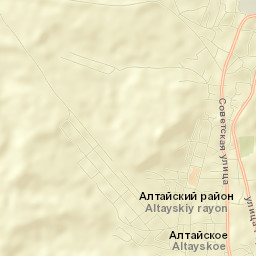 Altayskoye Street Map