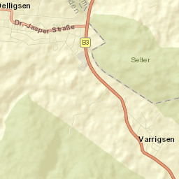 Delligsen Street Map
