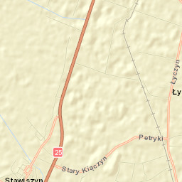 Stawiszyn Street Map