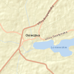 Osieczna Street Map