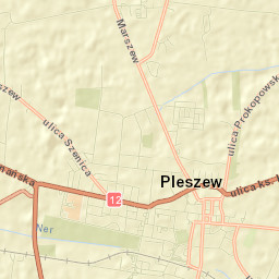 Pleszew Street Map
