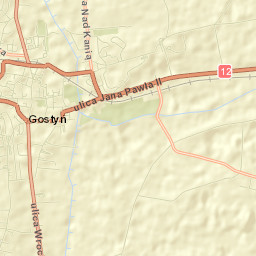 Gostyń Street Map