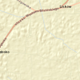 Lisków Street Map