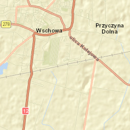 Wschowa Street Map