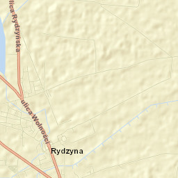 Rydzyna Street Map
