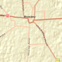Brzeziny Street Map