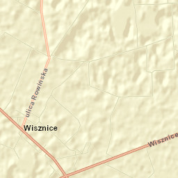 Wisznice Street Map