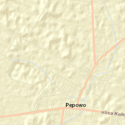 Pępowo Street Map