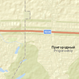 Prigorodnyy Street Map