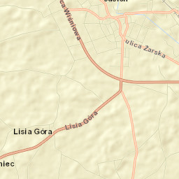 Jasień Street Map
