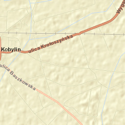 Kobylin Street Map