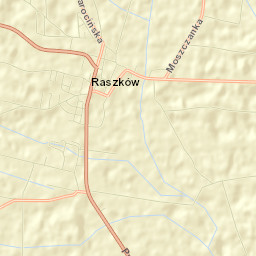 Raszków Street Map