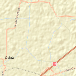 Skalmierzyce Street Map