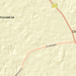 Cielądz Street Map