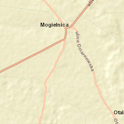 Mogielnica Street Map