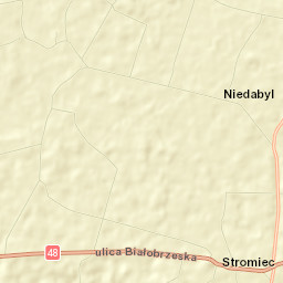 Stromiec Street Map