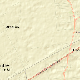 Dobroń Street Map