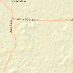 Pakosław Street Map