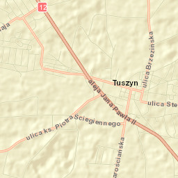 Tuszyn Street Map