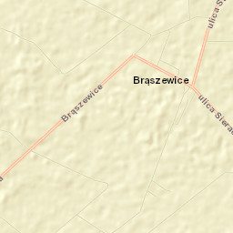 Brąszewice Street Map