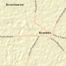 Brzeźnio Street Map