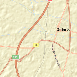 Żmigród Street Map