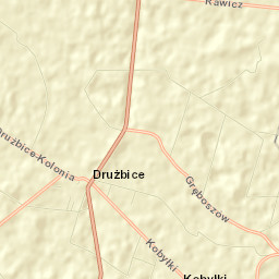 Drużbice Street Map