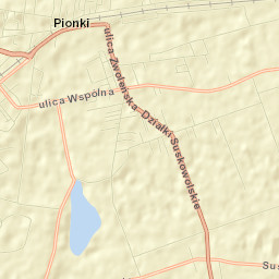 Pionki Street Map