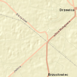 Drzewica Street Map