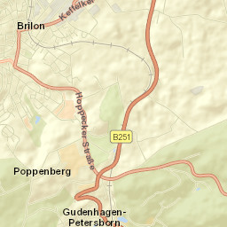Brilon Street Map